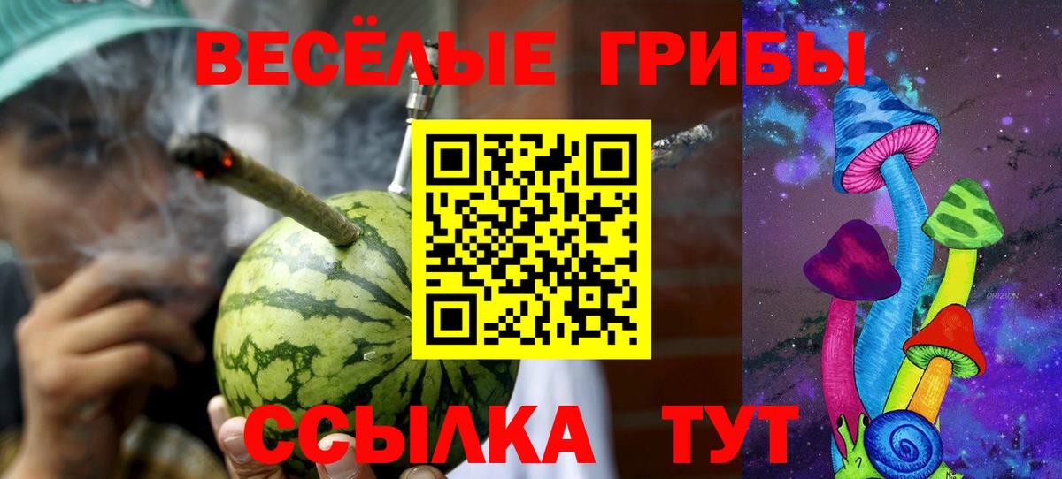 Псилоцибиновые грибы прущие грибы Кострома