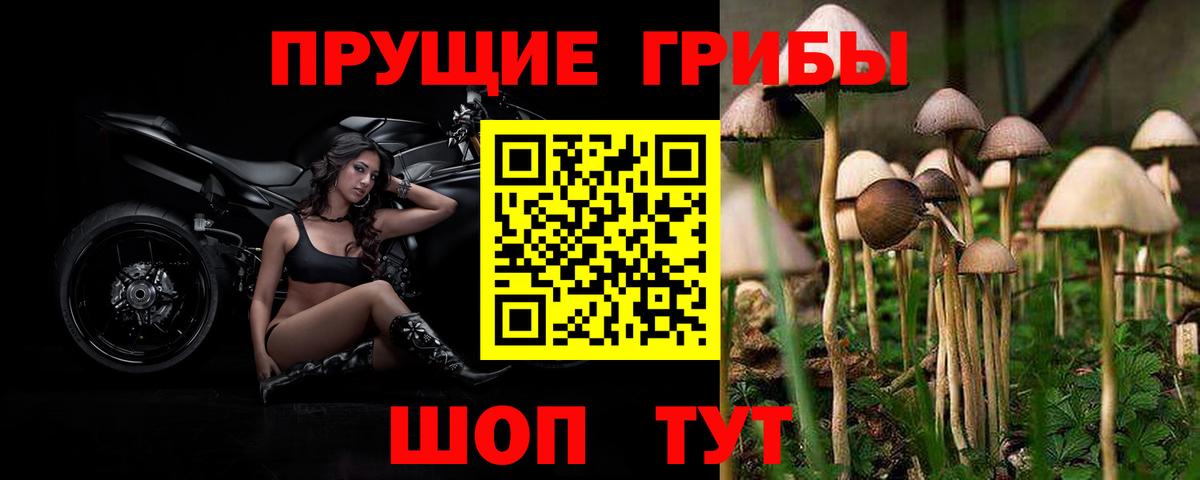 Псилоцибиновые грибы Psilocybe  Вход с VPN  закладка  Кострома 